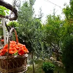 Apartman Mador *